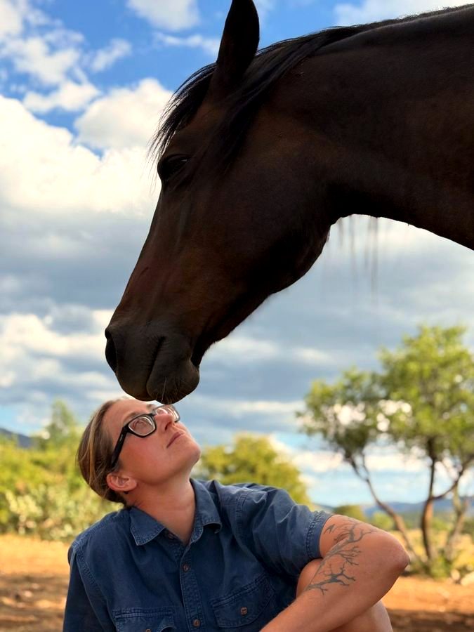 Romi, one of the horses at Luminous Institute