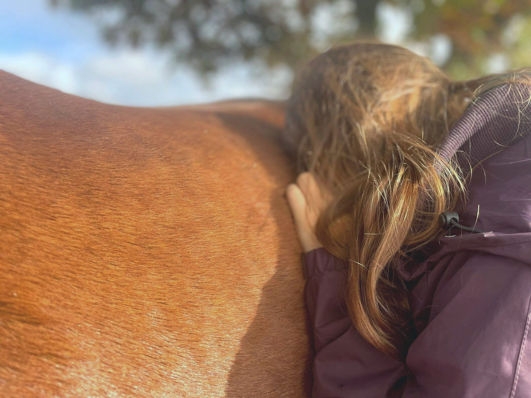 Resting against a horse's back under a tree