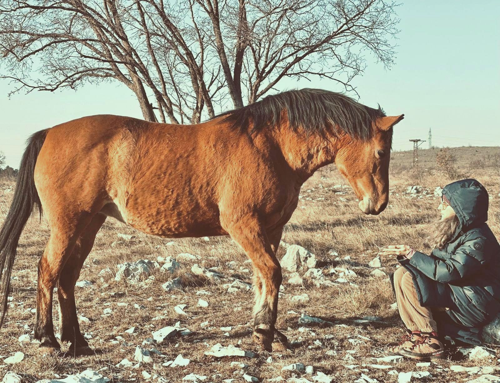 A woman crouched close to a horse in a winter field