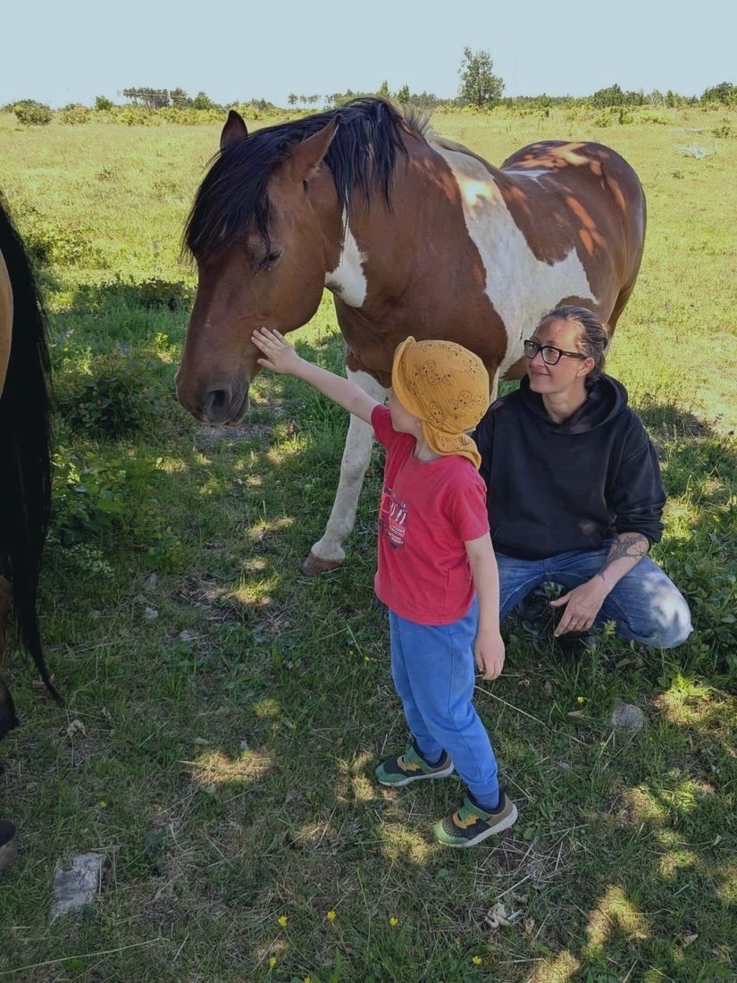 A child reaching to touch a horse's face while a woman kneels nearby