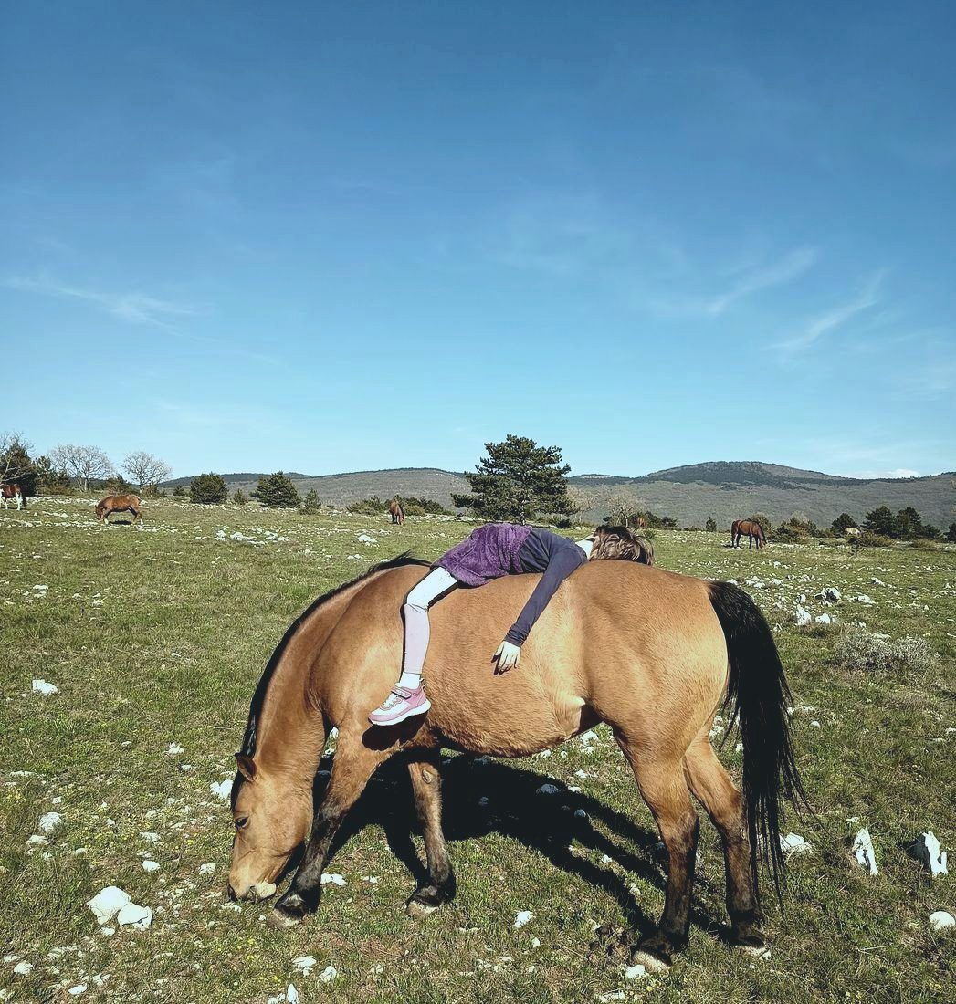 A child lying across a horse's back in an open field